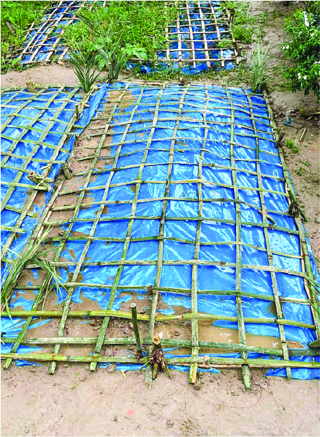 Image of হাফেজ মো: সিয়াম হোসেন 